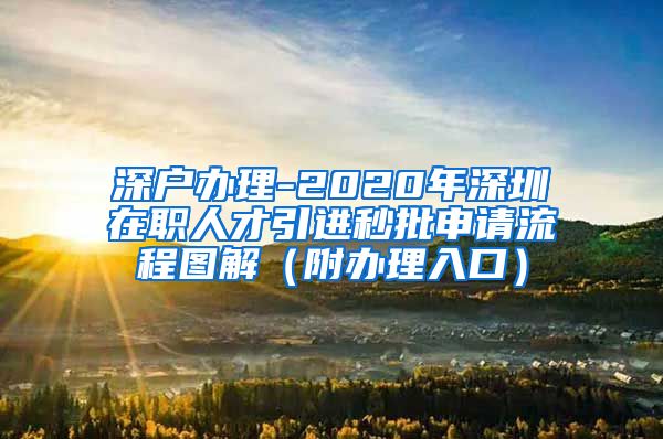 深户办理-2020年深圳在职人才引进秒批申请流程图解（附办理入口）