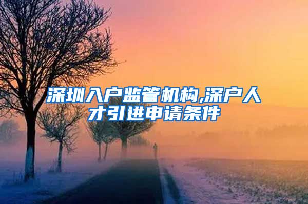 深圳入户监管机构,深户人才引进申请条件