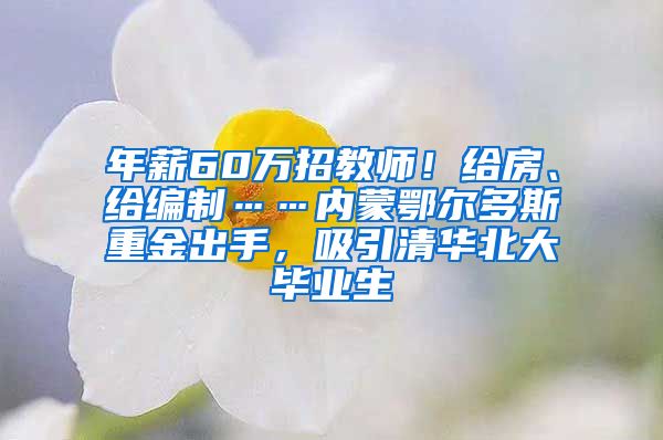 年薪60万招教师！给房、给编制……内蒙鄂尔多斯重金出手，吸引清华北大毕业生