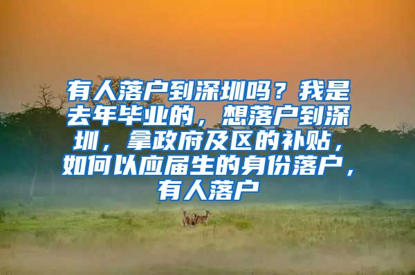 有人落户到深圳吗？我是去年毕业的，想落户到深圳，拿政府及区的补贴，如何以应届生的身份落户，有人落户