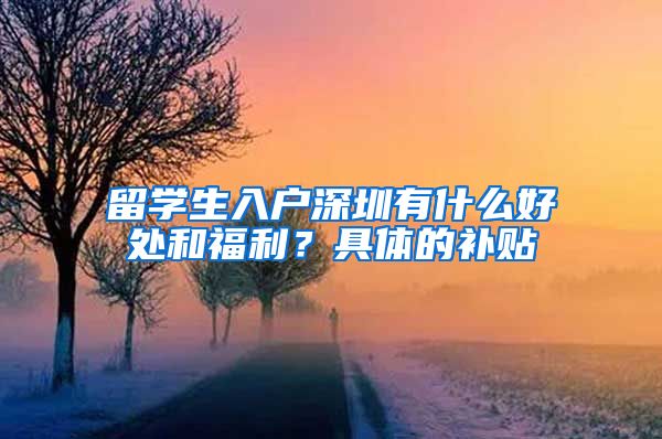 留学生入户深圳有什么好处和福利？具体的补贴