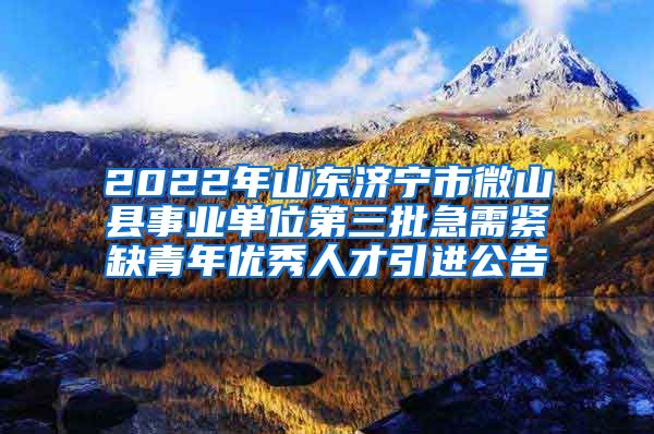 2022年山东济宁市微山县事业单位第三批急需紧缺青年优秀人才引进公告