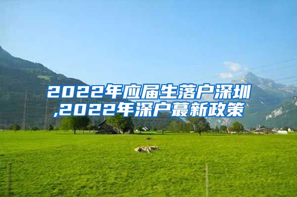 2022年应届生落户深圳,2022年深户蕞新政策