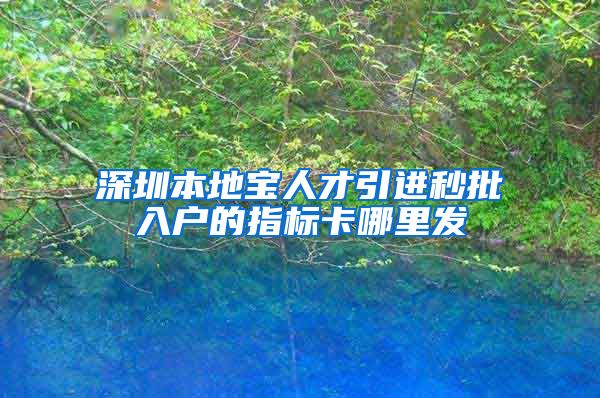 深圳本地宝人才引进秒批入户的指标卡哪里发