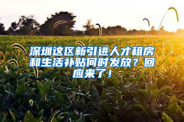 深圳这区新引进人才租房和生活补贴何时发放？回应来了！