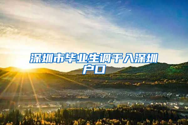 深圳市毕业生调干入深圳户口