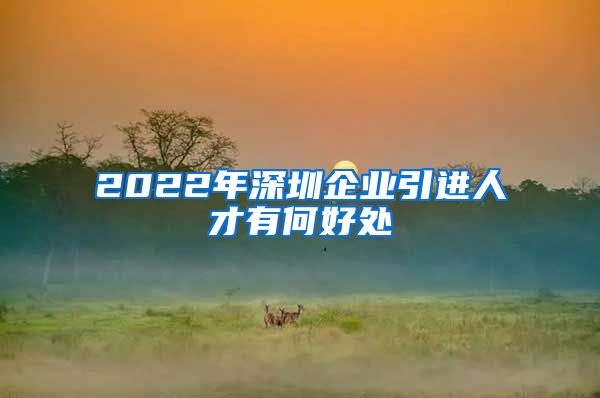 2022年深圳企业引进人才有何好处