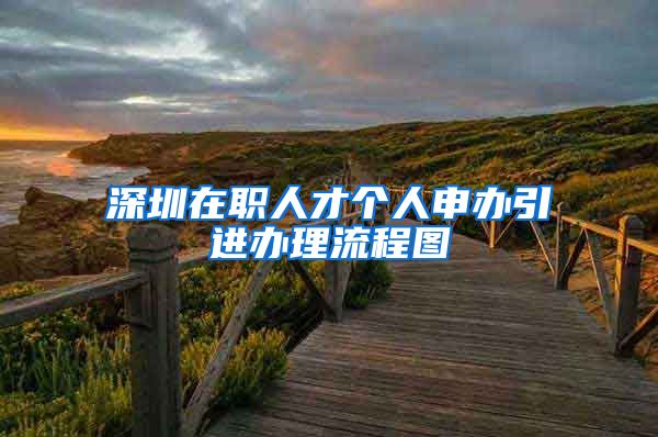 深圳在职人才个人申办引进办理流程图