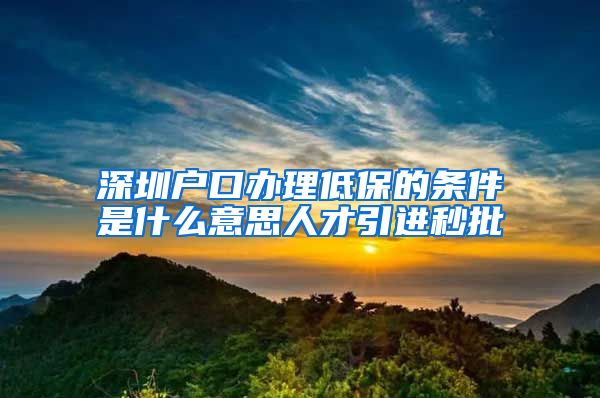 深圳户口办理低保的条件是什么意思人才引进秒批