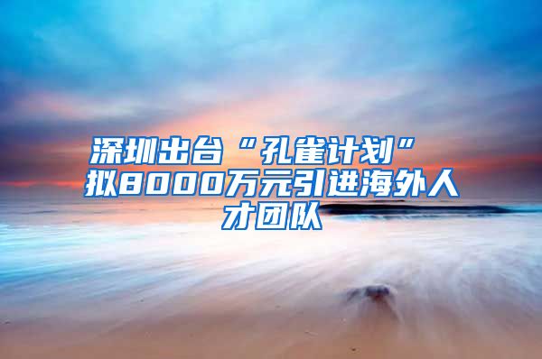 深圳出台“孔雀计划” 拟8000万元引进海外人才团队