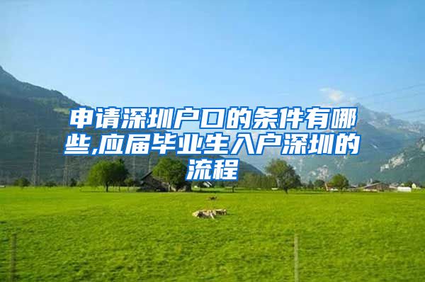 申请深圳户口的条件有哪些,应届毕业生入户深圳的流程