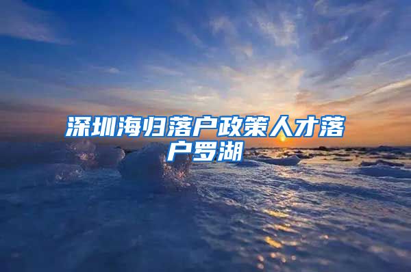 深圳海归落户政策人才落户罗湖