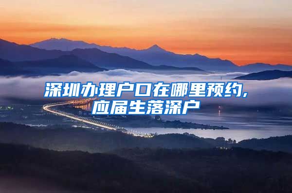 深圳办理户口在哪里预约,应届生落深户