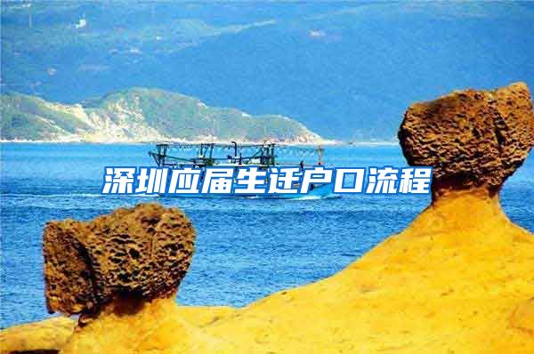 深圳应届生迁户口流程