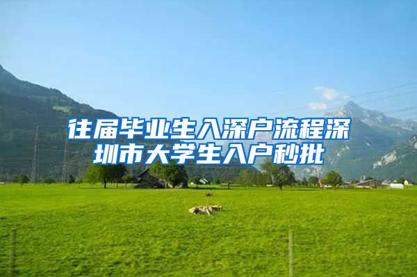 往届毕业生入深户流程深圳市大学生入户秒批