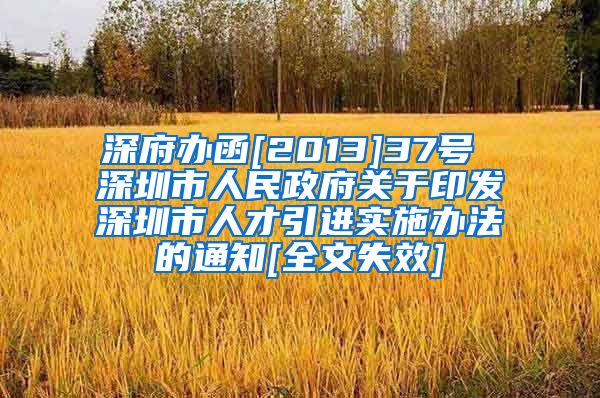 深府办函[2013]37号 深圳市人民政府关于印发深圳市人才引进实施办法的通知[全文失效]