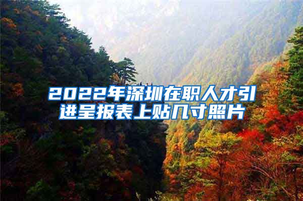 2022年深圳在职人才引进呈报表上贴几寸照片