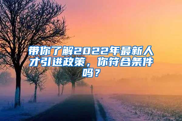 带你了解2022年最新人才引进政策，你符合条件吗？