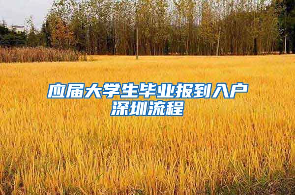 应届大学生毕业报到入户深圳流程