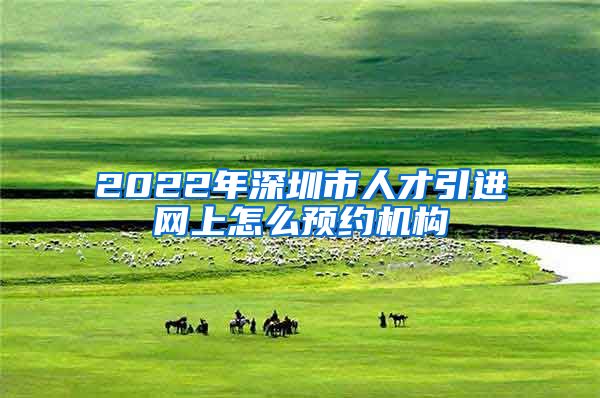 2022年深圳市人才引进网上怎么预约机构