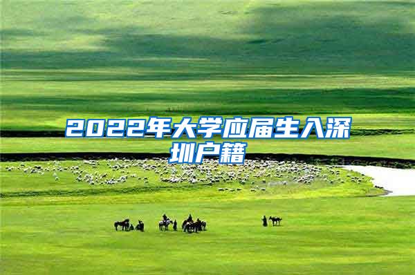 2022年大学应届生入深圳户籍