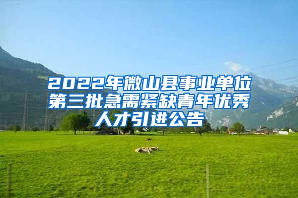 2022年微山县事业单位第三批急需紧缺青年优秀人才引进公告