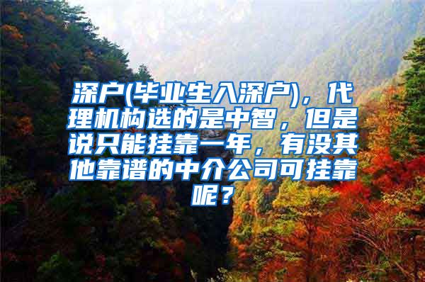 深户(毕业生入深户)，代理机构选的是中智，但是说只能挂靠一年，有没其他靠谱的中介公司可挂靠呢？