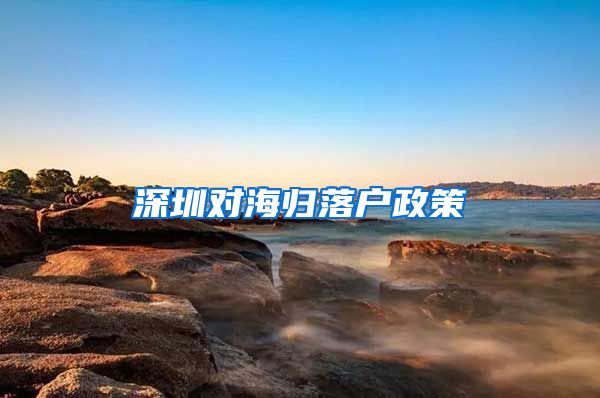 深圳对海归落户政策